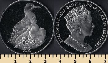    2  2019