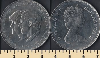  25  1981