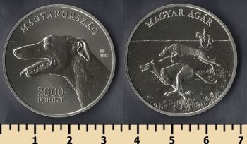  2000  2021