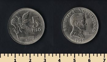  5  1991
