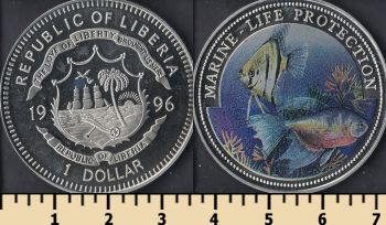  1  1996