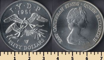 -  50  1981