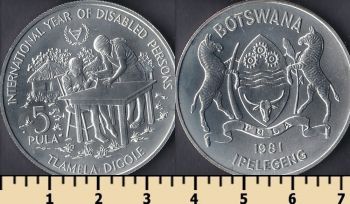  5  1981