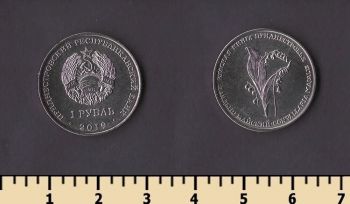 ������������� 1 ����� 2019