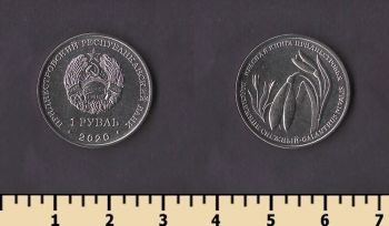 ������������� 1 ����� 2020