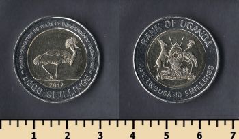  1000  2012
