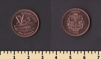 ������ 5 �������� 2008