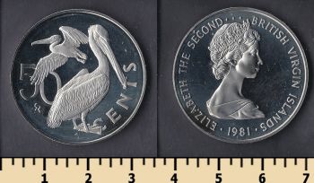    50  1981