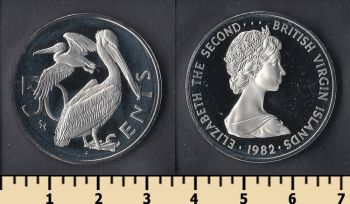    50  1982