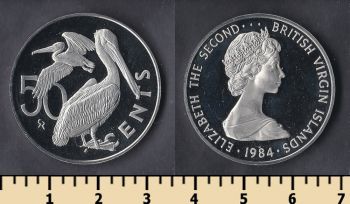    50  1984