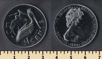   50  1980
