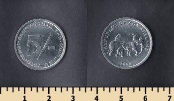  5  2005