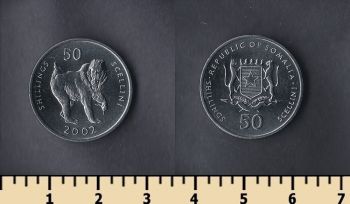  50  2002