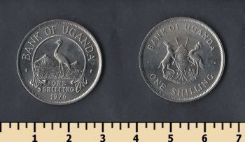  1  1976
