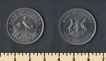  1  1975