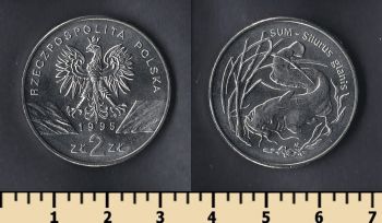 2  1995