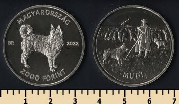 2000  2022