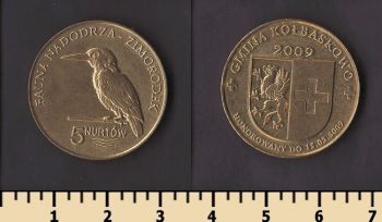 ������ ����� (��������� �����)