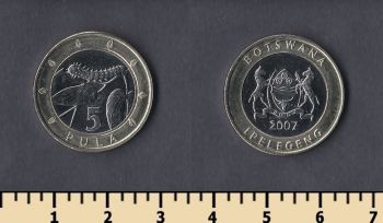  5  2007