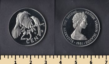    25  1981