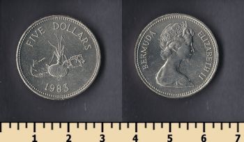  5  1983