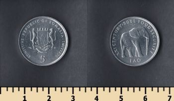  5  2000