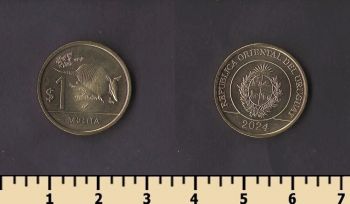 ������� 1 ���� 2024