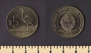 ������� 5 ���� 2019