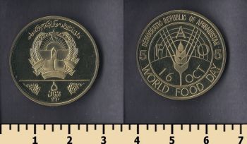  5  1981