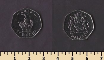 ������ 5 ����� 2018