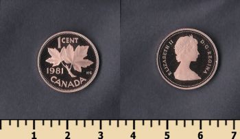  1  1981