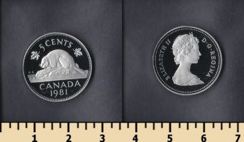  5  1981