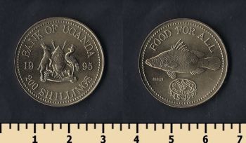  200  1995