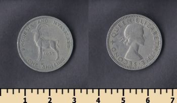    1  1955