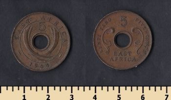    5  1964