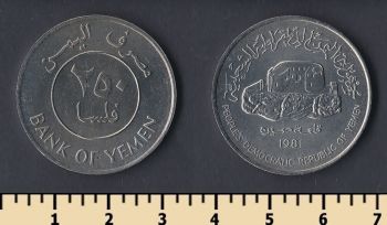 250  1981