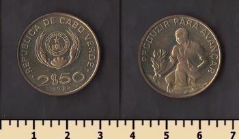 ����-����� 2 1/2 ������ 1982