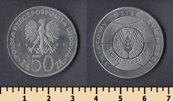  50  1981