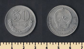  50  1981
