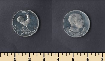  6  1964