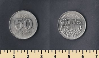   50  1981