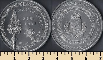  2000  2019