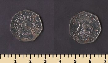 ������ 5 ��������� 1987