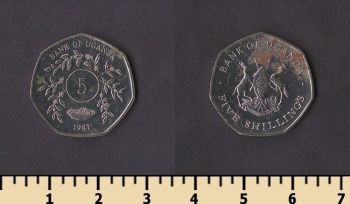 ������ 5 ��������� 1987