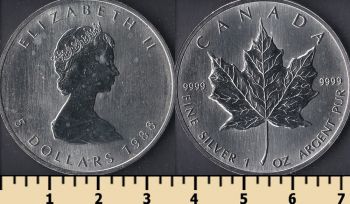  5  1988