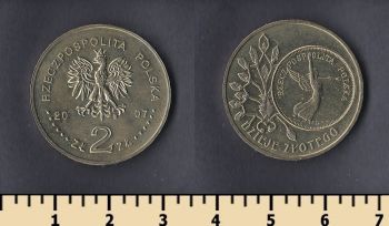  2  2007