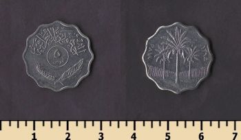 ���� 5 ���� 1975