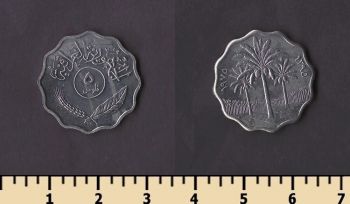 ���� 5 ���� 1975