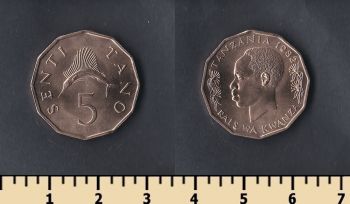  5  1982