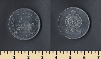   5  2016